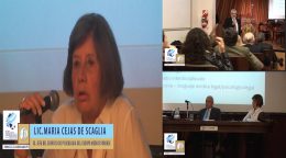 1º Jornada Interdisciplinaria sobre Salud y Litigiosidad / Lic. María Ceijas de Scaglia